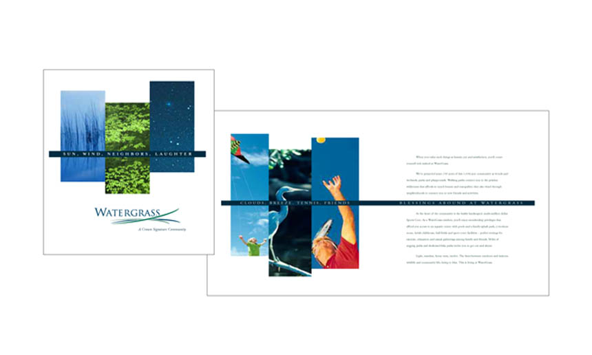 Brochure cover and inside spread | Watergrass 