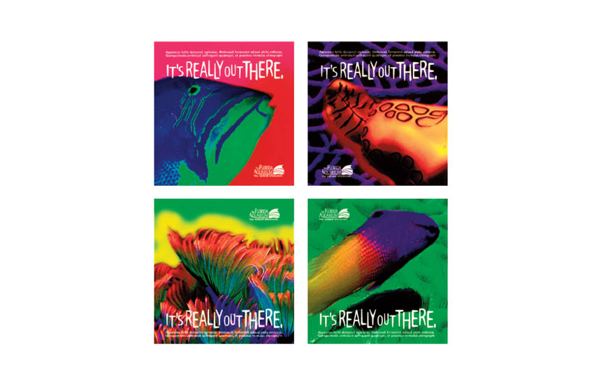 Newspaper ads | The Florida Aquarium