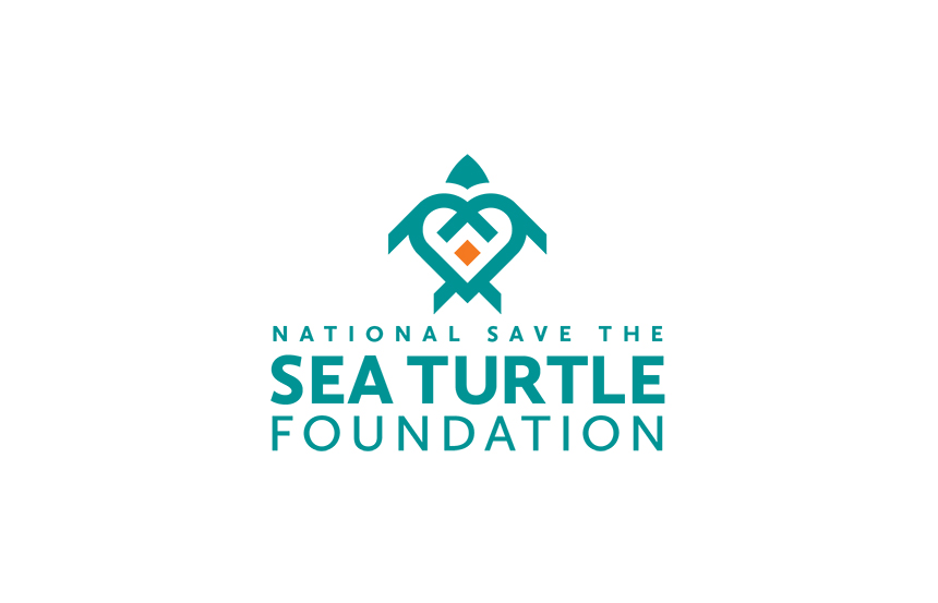 Non-profit | National save The Sea Turtle Foundation