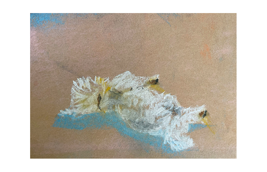 Figure Drawing | Pastel