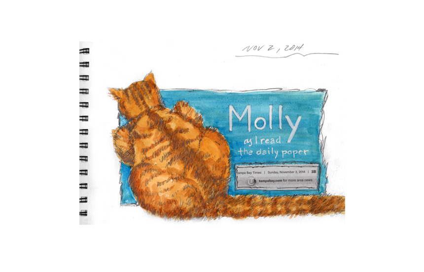 My cat loves to sit on the paper I'm reading, don't they all?