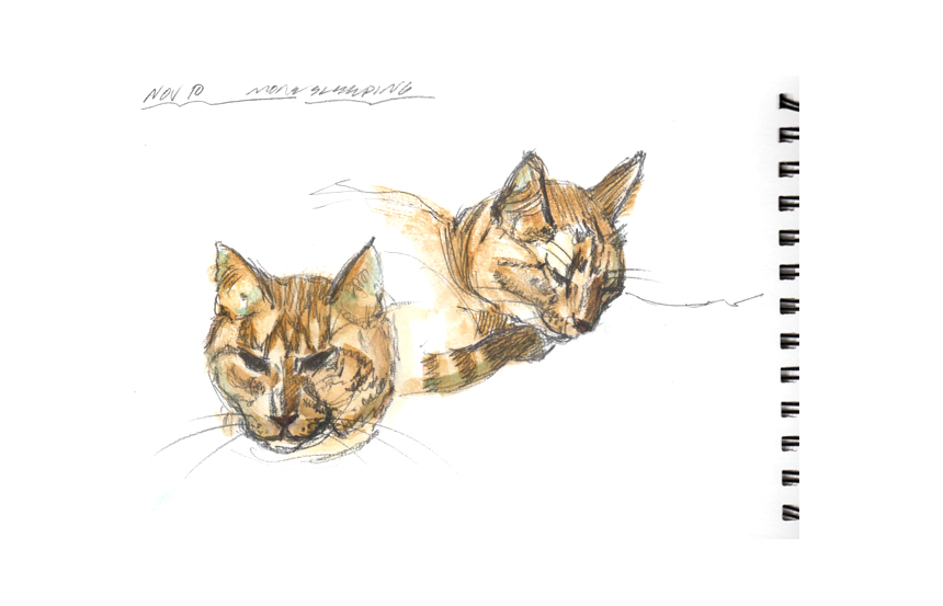 What's up with those half open sideways eyes?