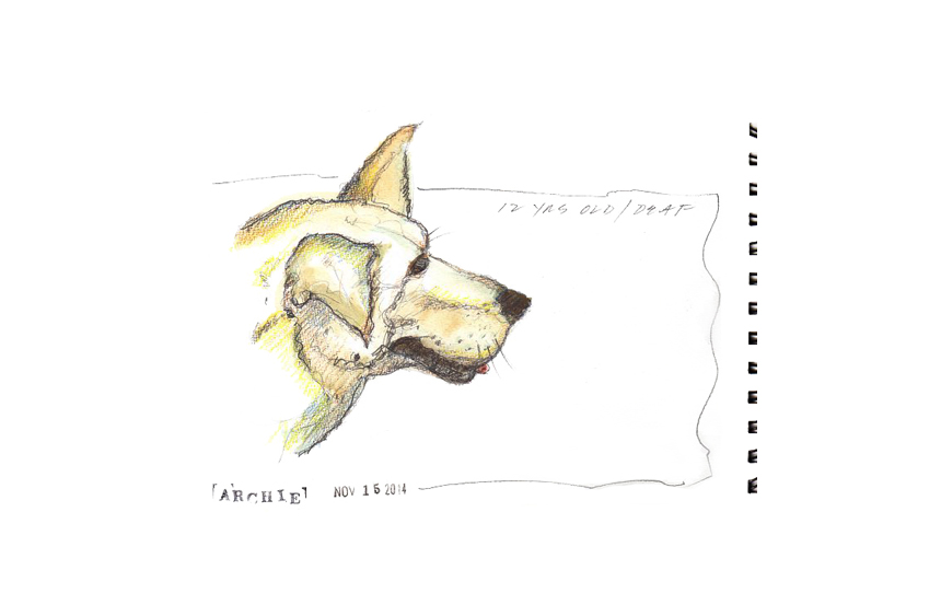 Dog in a Bar 1 — First in a series