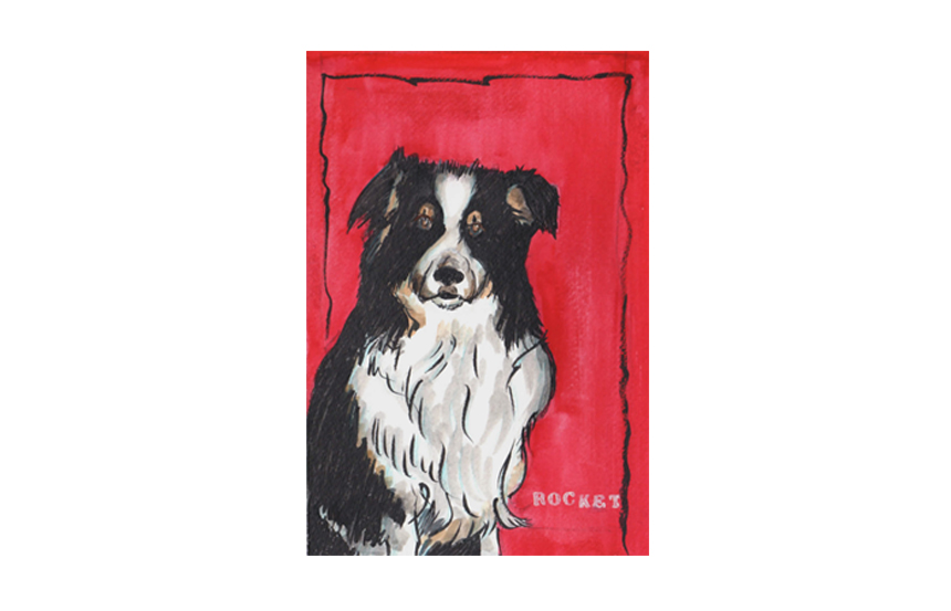 A tribute to my friends' dog Rocket