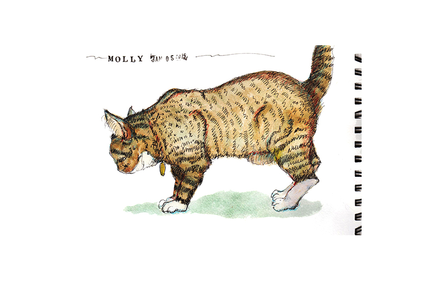 Trying to draw Molly outside, not easy following her around