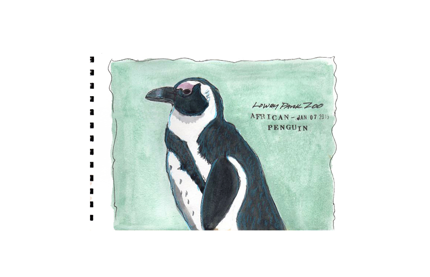 So a penguin walks into a bar…