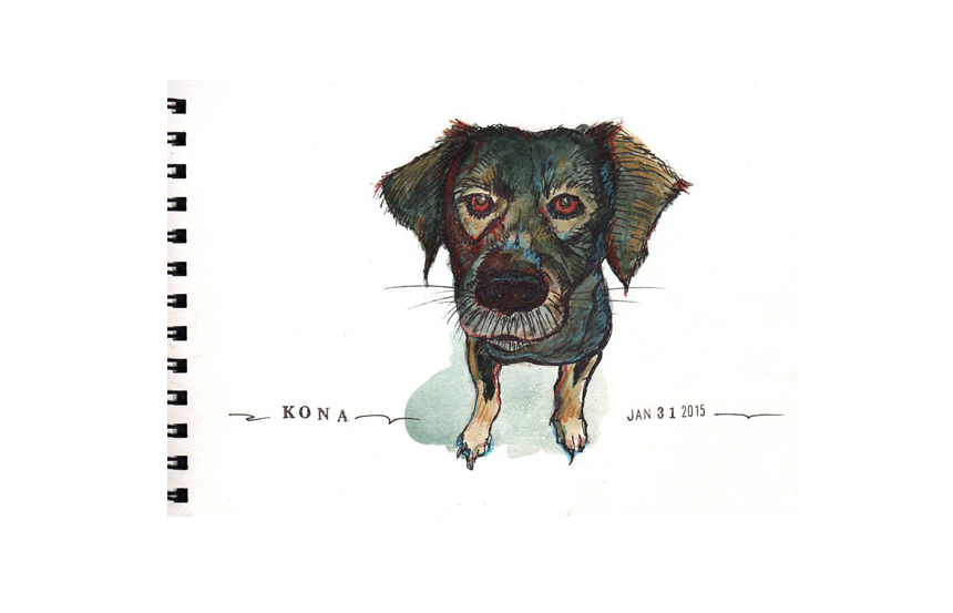 Looking to be adopted