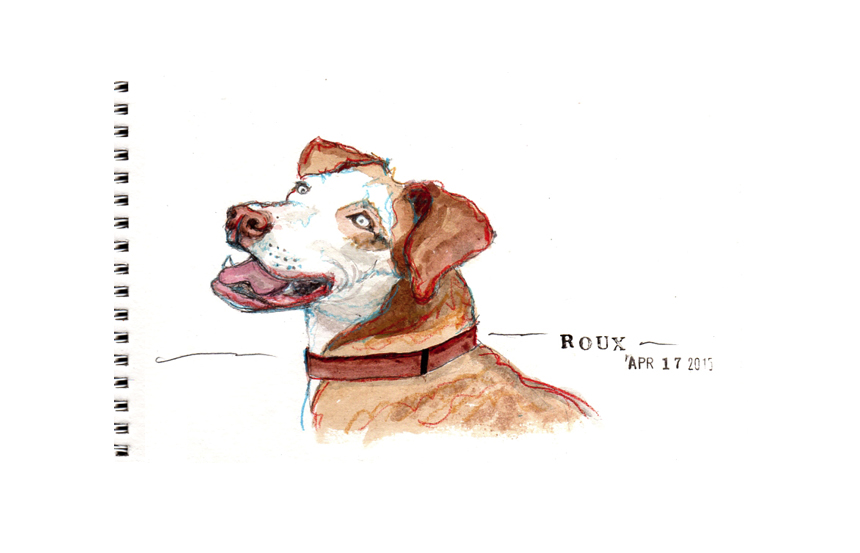 She's up for adoption