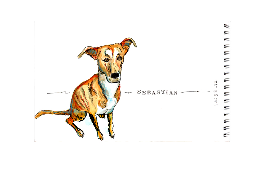 Waiting to be adopted