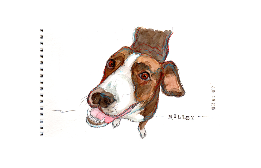 Waiting to be adopted